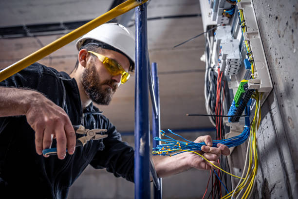 Best Electrical Rewiring Services  in Argentine, MI